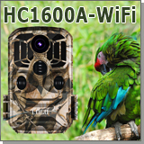 Охранная камера Филин HC-1600A-WiFi
